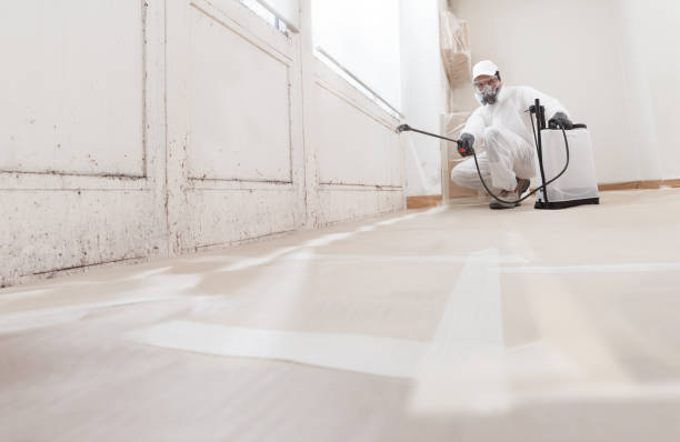 24/7 Emergency Commercial Mold Remediation experts in Zarephath, NJ