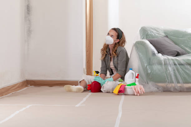 Reliable Commercial Mold Remediation contractor in Zarephath, NJ by 24 Hour Mold Removal